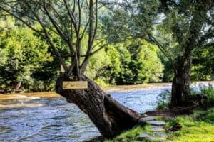 splav hrona rafting hron